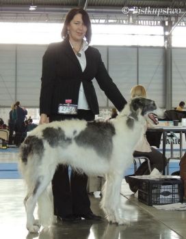 Křídlovka Bistkupstwo